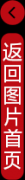 <b>四川阆中：春见柑橘喜丰收</b>
